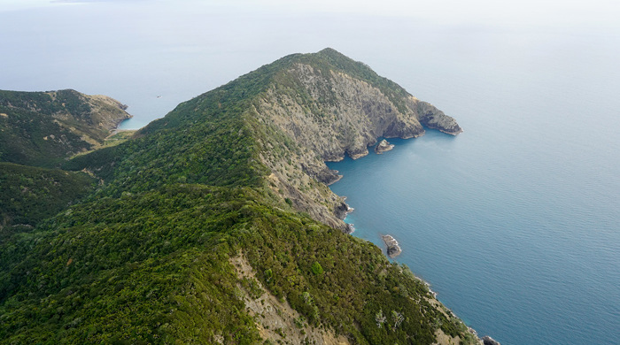 The northern coastal cliffs of Te Paparahi.